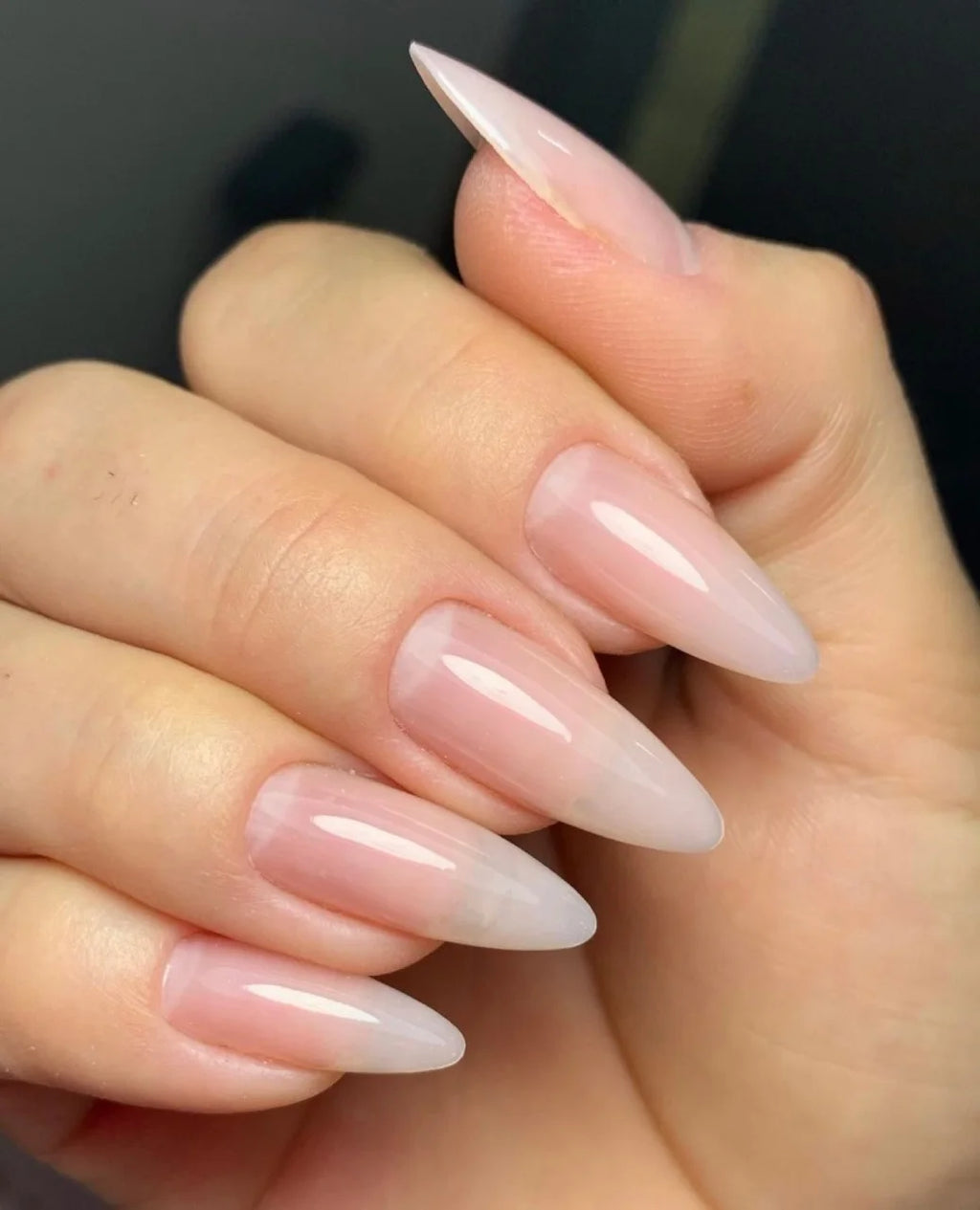 Nail Extension Gel Kit